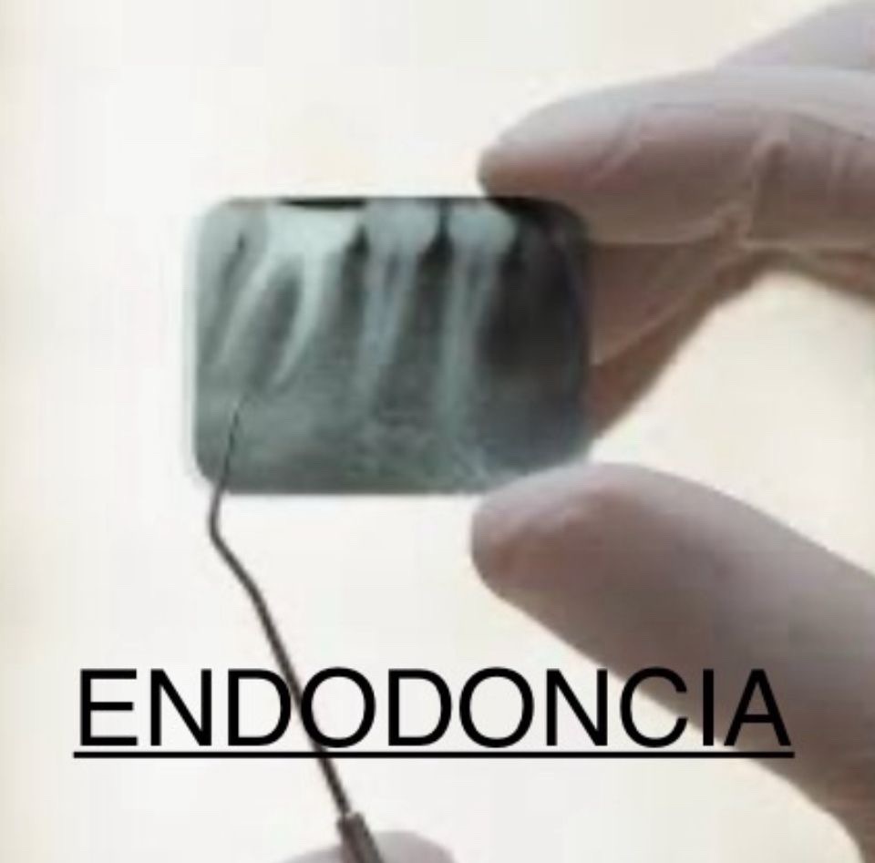 Servicio de extracciones
